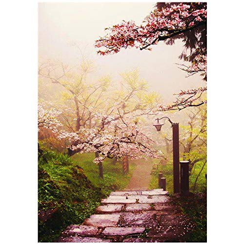 T-YIFUZX 5D DIY Hermosos paisajes Kit de Pintura de Diamante por número Bordado de Diamantes de imitación de Punto de Cruz para Manualidades Lienzo Decorativo para Pared 40x50cm