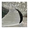HJRegaFimu Heckspoiler für BMW M5 E60 520 525li 528l 2006-2010, grundiert, Heckspoiler (glänzend schwarz)