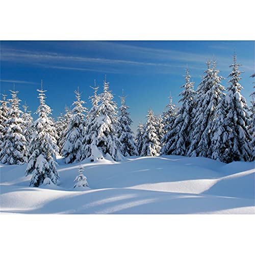 Hiver Forêt Neige Scène Toile De Fond 220x150cm Pin Forêt Bois Paysage Enneigé Photographie Fond 3D Hiver Saison Vacances Photographie Toile De Fond Nouvel An Décor Bannière