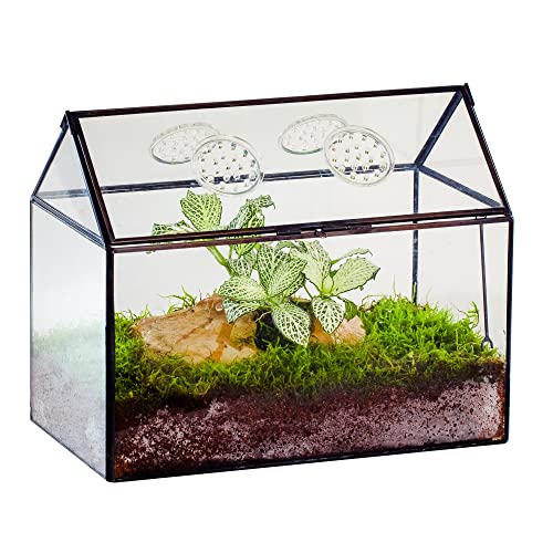 NCYP Glass Terrarium with Lid and Air Holes for Snails - 10.2 x 5.9 x 8.2 House Shape Geometric Clear Terrarium Indoor Tabletop Decor Black (Plants Not Included)