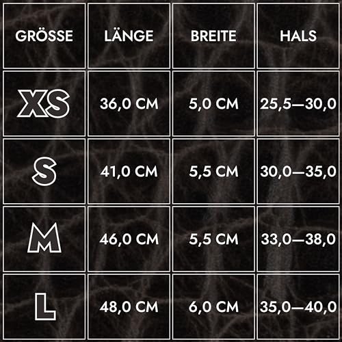 FAVPET Luxus Echtleder Windhund Halsband Breit mit QR Code Anhänger, Weiches Lederhalsband Hund Breit Whippet Italienisches Windspiel Saluki Lurcher Spanischer Galgo Greyhound Podenco (Grau, XS)