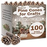 100 Mix Size Natural Pine Cones for Decorating - 50 Medium & 50 Small Pinecones for Crafts, Home Decor, Vase Fillers & Christmas Trees - Unscented Pinecone Decor for Home by Billy Buckskin
