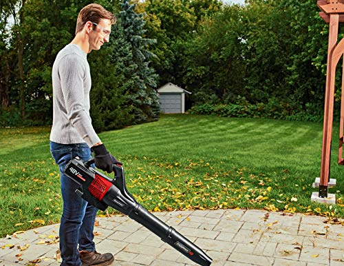 image for Snapper HD 48V MAX Cordless Electric 450 CFM Leaf Blower, Tool Only Wi