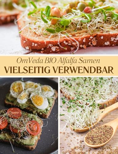 BIO Alfalfa Sprossensamen 200g | Keimsaat für Sprossen und Mikrogrün | Hohe Keimrate | Rohkost-geeignet, vegan | Ideal für Salate, Sandwiches, Smoothies, Bowls | Premium Sprossen Samen