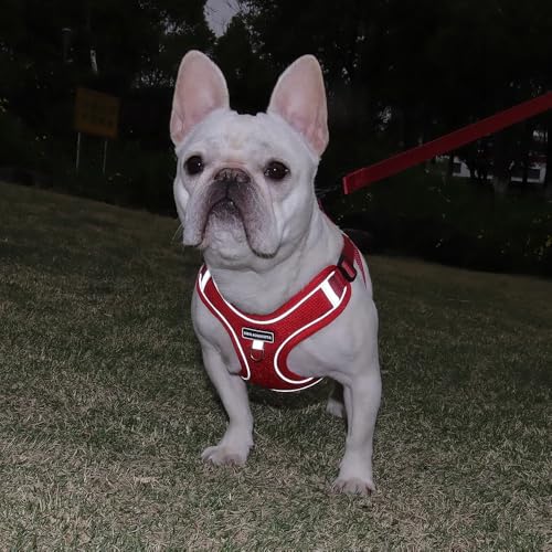 Pecheras para perros 30 Imagen adicional