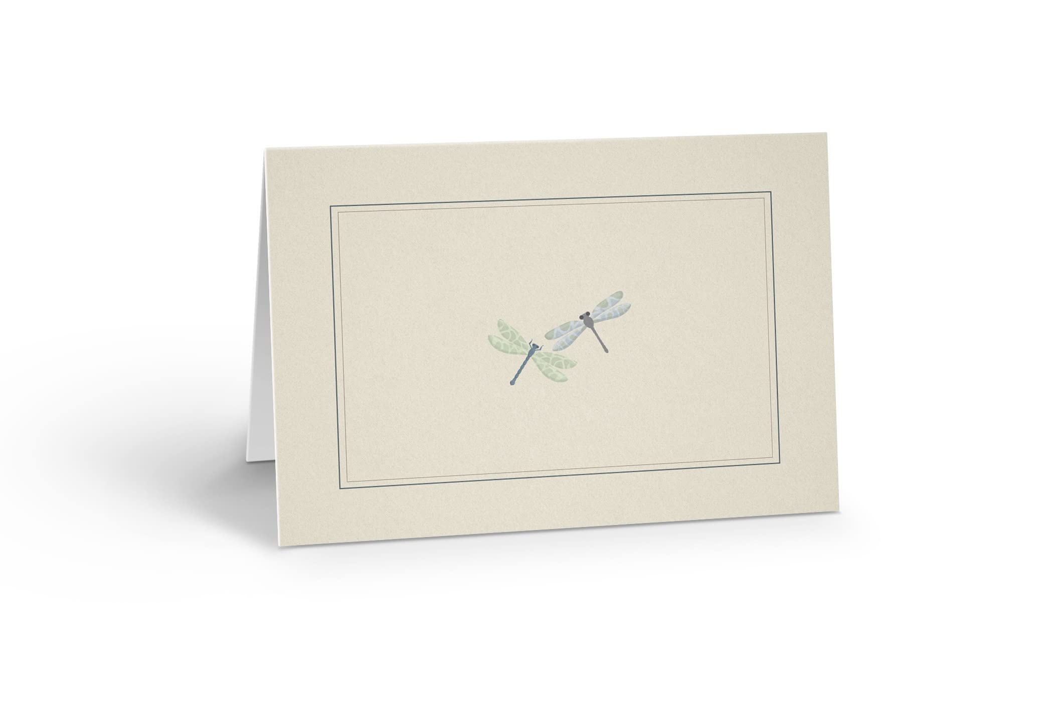 Stonehouse Collection | Delicate Printed Dragonfly Note Cards | 10 Spring Themed Boxed Note Cards and Envelopes | Any Occasion (Dragonfly)