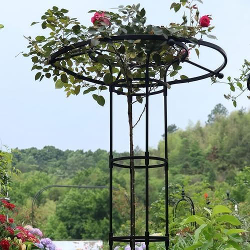 Graticcio da Giardino a Torre,Traliccio da Giardino per Piante Rampicanti, Supporto per Piante Telaio Torre Rampicante per Piante, Traliccio di Supporto per Piante per Viti Rampicanti (Color : Black