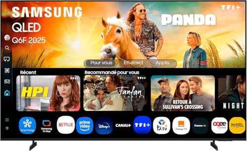 Samsung TV AI 55 Pouces QLED 55Q6F 4K Smart TV, Quantum Dots, Q4 Lite Processor, WiFi, Airplay, HDR, Q-Symphony, OTS Lite, Knox Security, Gaming Hub, Bixby, Application...