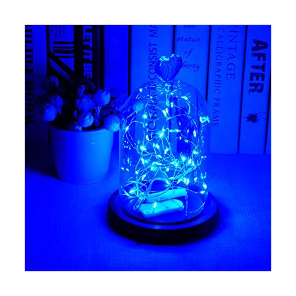 SmilingTown LED-Lichterkette, batteriebetrieben, sternenklare Lichterkette, 15 Stück, 2,2 m, 20 LEDs, Glühwürmchen-Mini-Lichterkette, silberfarben, Kupferdraht, wasserdicht, für Hochzeit, Halloween, Weihnachten, Party, Tischdekoration, Dekoration – Bild 3