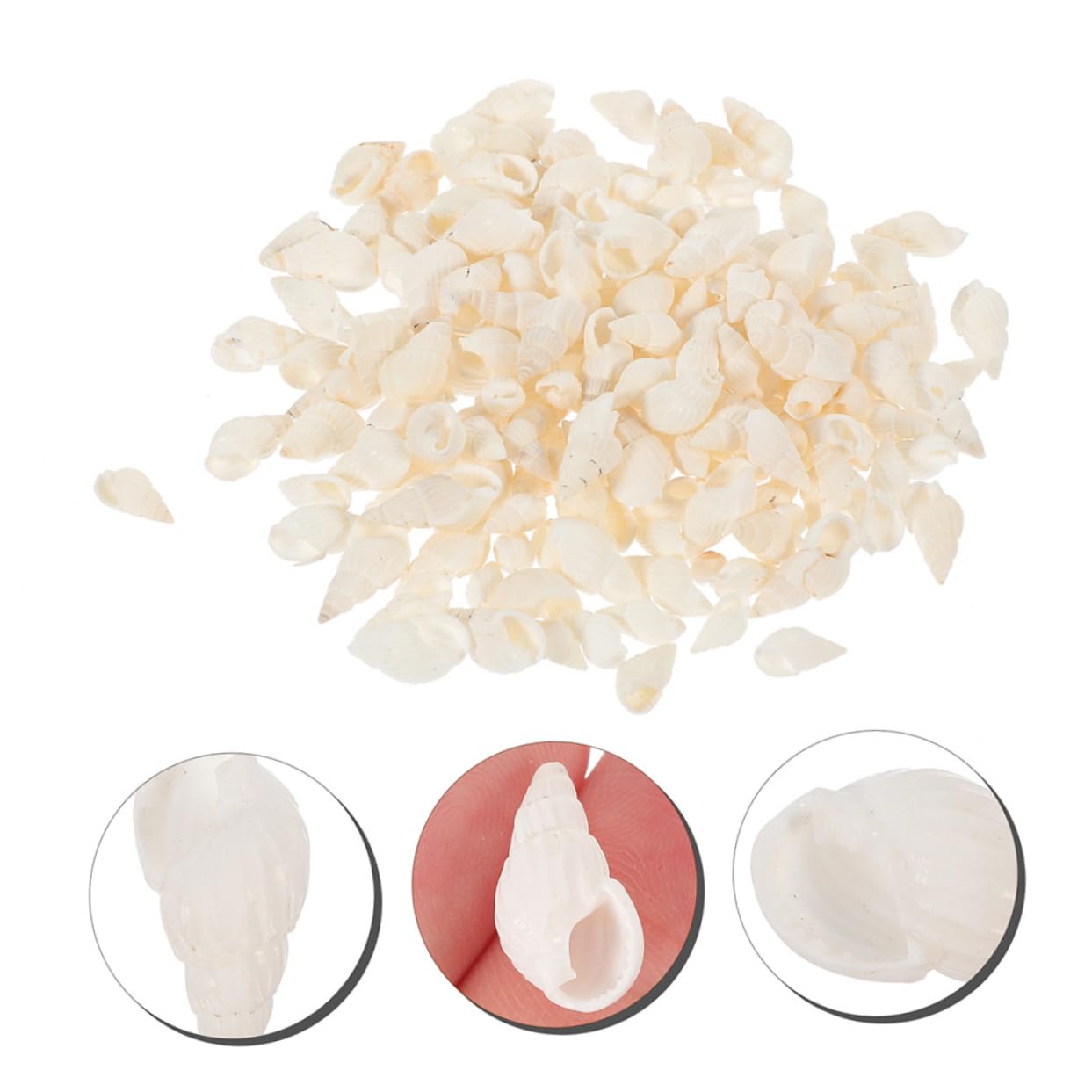 OUNONA 3 Set Decorazioni di Conchiglie Piccoli Acquari Mini Conchiglie Conchiglie di Capesante Conchiglie per Acquari Conchiglie Decorazioni Nautiche Conchiglie 400 Pezzi * 3
