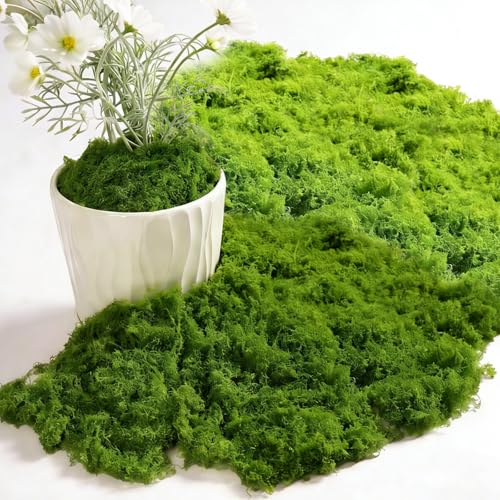 ChaneeHann 200g Mousse Artificielle Vert Foncé et Vert Clair 100g Chacune, Fausse Mousse Végétale pour Décoration Murale, Crèche, Aquarium, Modèles de Crèche, Plantes Artificielles, Bricolage Maison
