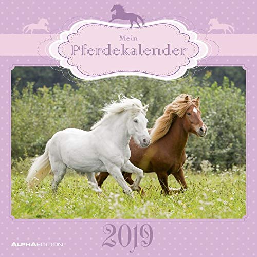 Mein Pferdekalender 2019 Broschürenkalender Mein Pferdekalender 2019 Broschürenkalender