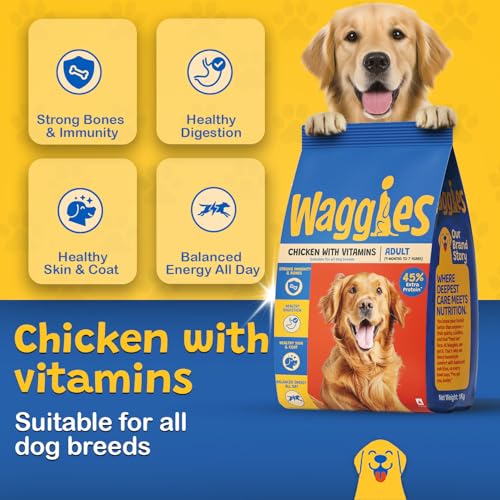 View 4