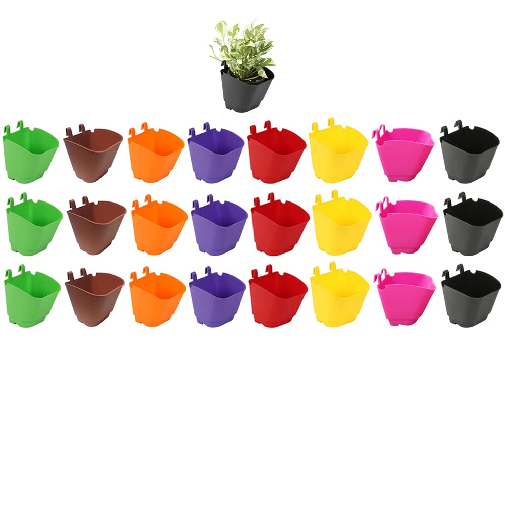 CAPPL 25 Peice Plastic Vertical Garden - Wall Hanging Pot (12.5 cm, Multicolor) (B09X58MKNH) Amazon Price History, Amazon Price Tracker
