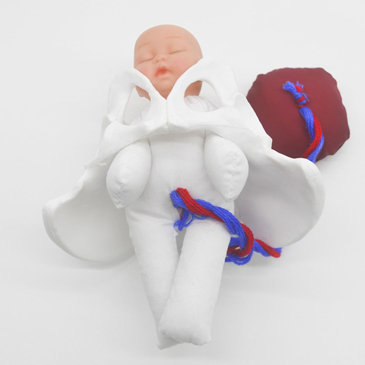 Operitacx Modèle Outil Polyvalent Cordon Ombilical et Placenta de Simulation D'accouchement en Pvc Fœtus Détaillé pour Formation Prénatale et Éducation Médicale