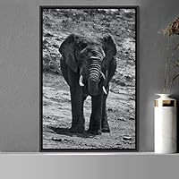 Framed Canvas Wall Art Duotone Elephants Animals Black and White Bohemian Duotone Elephants Expressive Grey Living Room Photography - 16x24 inches