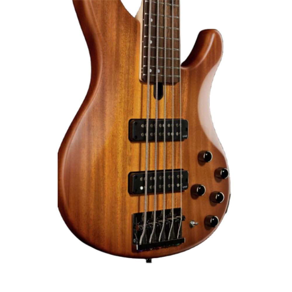 Amazon.com: Yamaha TRBX505 Brick Burst 5-string bass : Musical