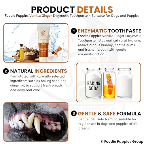Image of Foodie Puppies Vanilla & Ginger Enzymatic Dog Toothpaste - 100g | Fresh Breath Formula with Soothing Vanilla & Ginger | Tartar Control Dental Paste for Dogs & Puppies