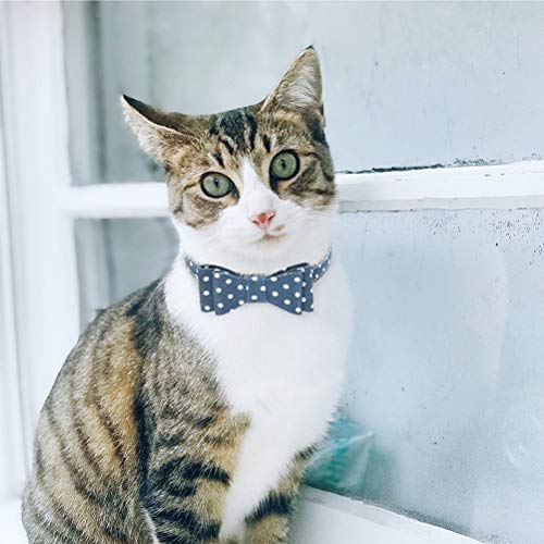Image of EXPAWLORER Dog Collar and Leash Set - Classic Polka Dots Bow Tie & Bandana Collar with Bell, Tangle-Free Leash, Adjustable for Small to Large Dogs & Cats