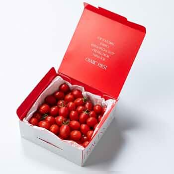 トマトMaxMara２点 トマトMaxMara2点 トマト様専用MaxMara2点