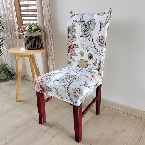 Image of House of Quirk Elastic Chair Cover Stretch Removable Washable Short Dining Chair Cover Protector Seat Slipcover (Pack of 2, Biege Bliss)