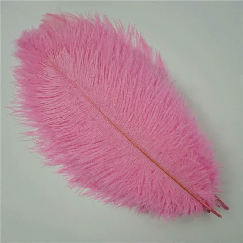 Plumes artisanales, plumes, décoration de fête, plumes de fête, plumes d'autruche ivoire, robe blanche en plumes, plumes d'autruche blanches longues, garniture en plumes d'autruche
