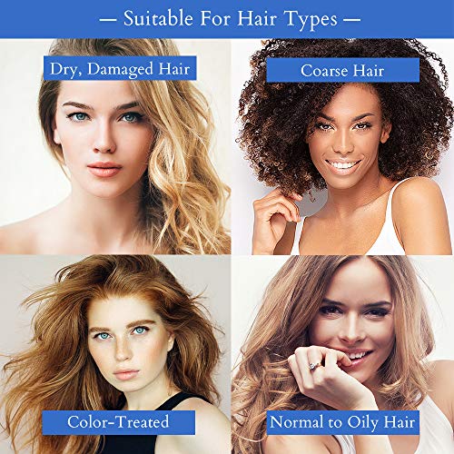 Brocato Cloud 9 Restoring Shampoo, 32 Fl Oz | Miracle Repair, Moisturizing, Hydrate, & Revitalizing Shampoo | For Weak, Dull, Dry, & Damaged Hair | Restore Resilience, Health & Shine #TOP5