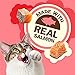 Purina Friskies Natural Cat Treats Party Mix Natural Yums With Real Salmon and Added Vitamins, Minerals and Nutrients - 20 Oz. Canister