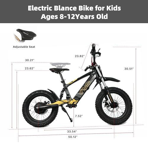 KOZRUNS Electric Dirt Bike for Kids