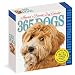 365 Dogs Page-A-Day Calendar 2018