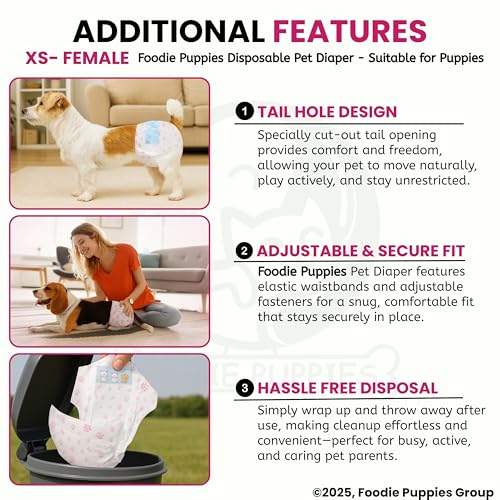 Image of Foodie Puppies Disposable Dog Diapers for Female Dogs - (XS) | Absorbent Female Dog Diapers with Leak Protection | Female Dogs in Heat, Excitable Urination, or Incontinence