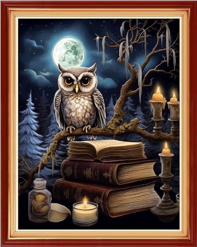 Image of Redxing Stamped Cross Stitch Kits Full Range of Embroidery Starter Kits- Needlepoint Counted Cross Stitch Kits for Beginner Adults 11CT Printed Embroidery Kit-Owl Moon 16x20 inch