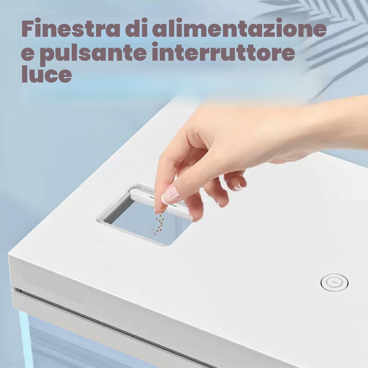 Serbatoio per pesci da 9 l, acquario in vetro nano, sistema di filtraggio migliorato e luce LED, per acqua dolce e marina, sfere filtranti incluse (bianco, 9L)