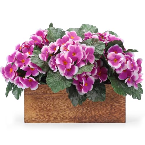 Suncalla 6 Pack Rose Red with White Borders Artificial Violet Flowers