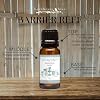 Barnhouse Blue Barrier Reef 10mL Premium Fragrance Oil - for Candle, Soap Making, Aromatherapy, Diffusers, Home Care, & Humidifiers #1