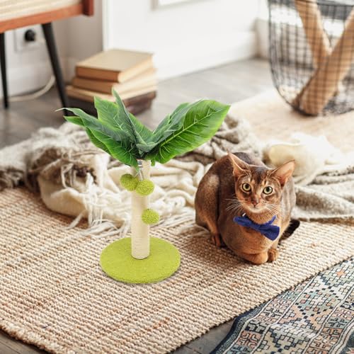 Rascador para gatos NUOBESTY con cuerda de sisal y bola de resorte miniatura 4
