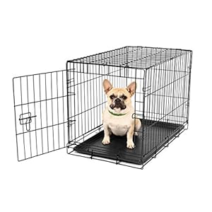 Carlson-Pet-Products-Secure-and-Foldable-Single-Door-Metal-Dog-Crate Single Door Metal Dog Crate