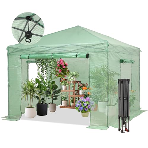GDY 10X10FT Instant Pop-up Greenhouses Indoor Outdoor Portable Greenhouse Walk-in with Roll-Up Zipper Doors and Side Windows Pe Cover Clear Light Green.