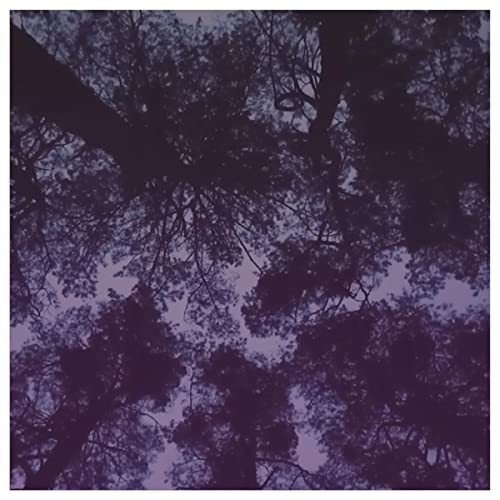 shared territory, Kusa & KING KVNG