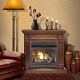 ProCom Dual Fuel Ventless Gas Fireplace System - 32,000 BTU, Remote Control, Chocolate Finish - Model A-FBNSD400RT-2-CH