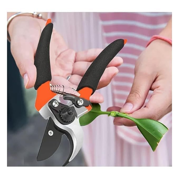 Image of STEFFAN Garden Pruning Shears Heavy Duty 8 Inch Plant Cutter Scissors for Home Gardening, Sharp Blade Branch Cutter Tool for Trees, Shrubs, Flowers & Indoor Outdoor Plant Trimming (8 inch)