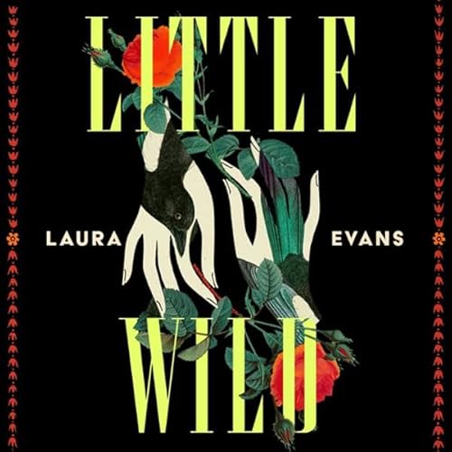 Little Wild Audiolivro Por Laura Evans capa