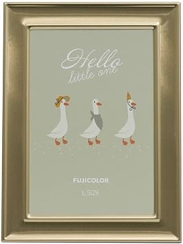 FUJICOLOR Fujicolor Metal Color Frame 3503L Gold L Size 507250