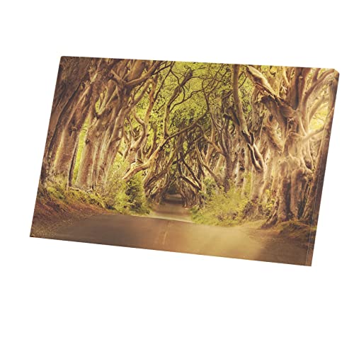 Tableau forêt tortueuse : toile imprimée 96x60 cm pour salon