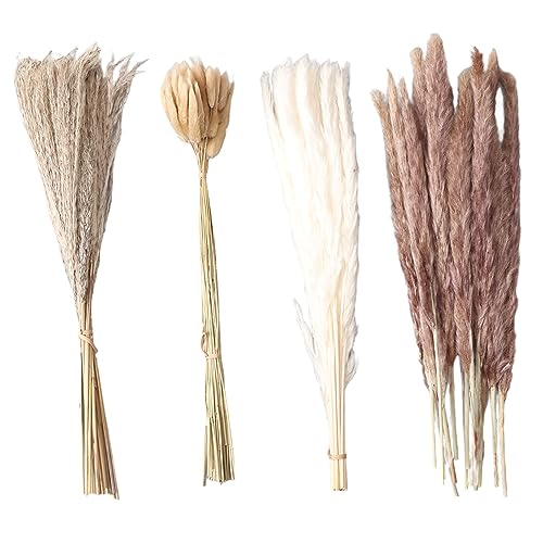 Conjunto de Flores Secas Naturais Premium de Longa Duração Decorativa Grama de Junco Fofa para Casam
