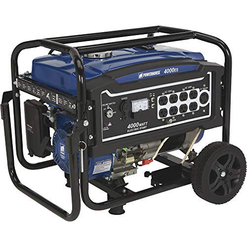 Powerhorse Portable Generator - 4000 Surge Watts, 3100 Rated Watts, Electric Start