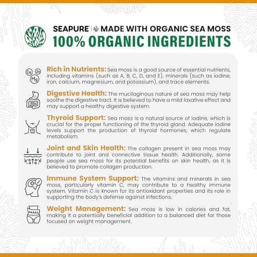 SEAPURE Wildcrafted Irish Natural Superfood Sea Moss Gel, 100% Organic, Gluten Free, Rich in Minerals - Mango Flavor, 16 oz, Made in USA