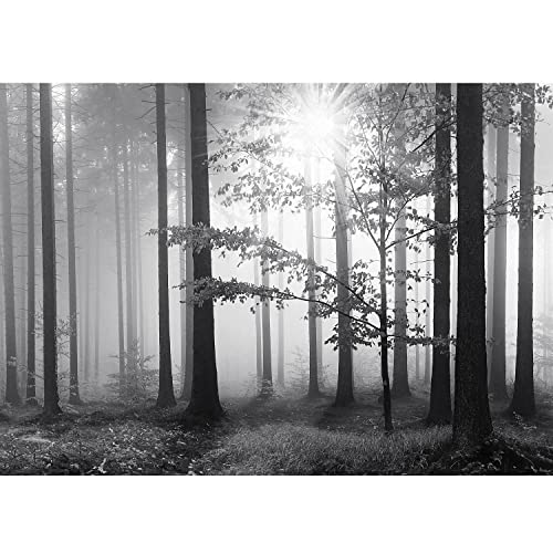 Runa Art Papel tapiz Bosque en la niebla 352 x 250 cm Fleece Wallpaper Sala Dormitorio Oficina Corredora Decoration Murals modern Wall Decoration - 100% MADE IN GERMANY - 9241011a