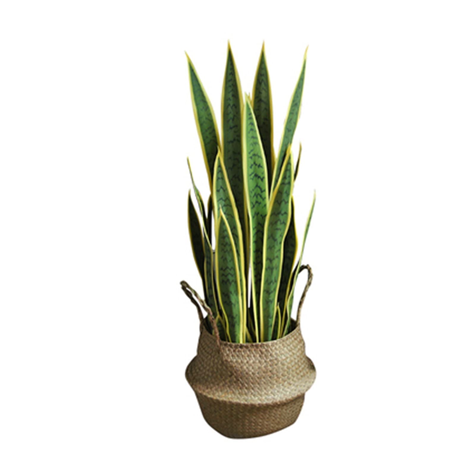 YANGQI yaoqijie 1 Set künstliche sansevieria trifasciata Schlange Pflanze Tropische grüne Pflanze hauptdekoration groß PU. Sukkulente hohe qualität. Lasting