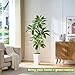Artificial Dracaena Tree, 6FT Artificial Plants Indoor with White Tall Planter, Faux Yucca Silk Tree Fake Tropical Floor Plant in Pot, Fake Plants for Home House Room Office Entryway Porch Decor